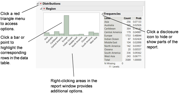 Report Window Features